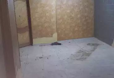 undefined undefined - 2 rooms - floor 2