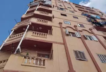 undefined undefined - 3 rooms - floor 7