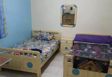 Apartments For rent - 3 rooms - floor 2