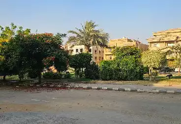 Apartments For rent - 4 rooms - floor 1