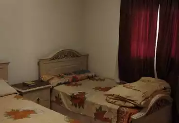 شقق مفروشة للإيجار - 3 غرف - بالدور 3