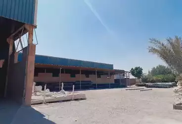 Factory For sale