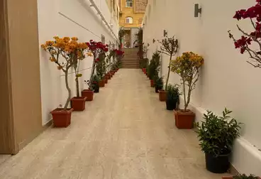 undefined undefined - 3 غرف - بالدور 1