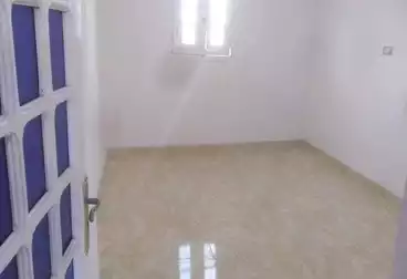 شقق للإيجار - 3 غرف - بالدور 7