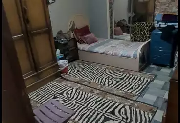 undefined undefined - 3 rooms - floor 1