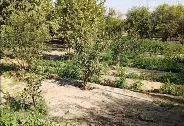Farm For sale