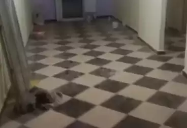 undefined undefined - 3 rooms - floor 2