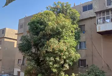 Apartments For sale - 2 rooms - floor 1
