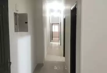 شقق للإيجار - 3 غرف - بالدور 0