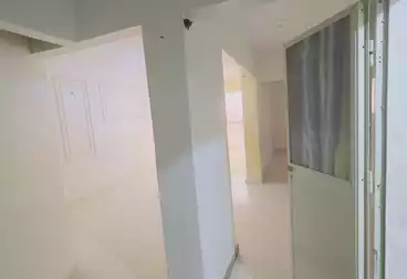 شقق للبيع - 2 غرف - بالدور 1