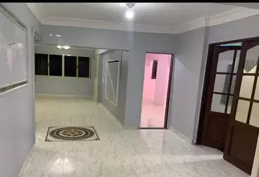 Apartments For rent - 3 rooms - floor 5