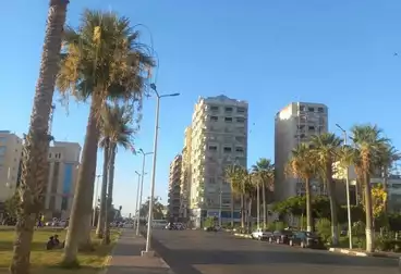 Apartments For sale - 3 rooms - floor 1