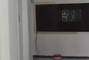 Apartments For rent - 2 rooms - floor 3