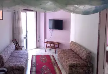 Furnished Apartment For rent - 2 rooms - floor 1