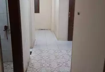 عقارات للإيجار - 2 غرف - بالدور 0