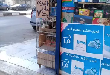 Kiosk For sale