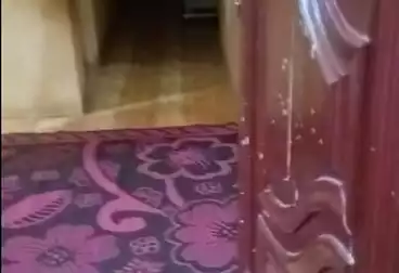 Apartments For sale - 2 rooms - floor 1