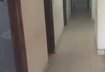 Apartments For sale - 3 rooms - floor 6