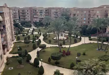 عقارات للإيجار - 3 غرف - بالدور 2