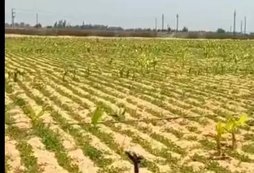 Farm For sale