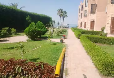 شاليه بحديقة للإيجار - 2 غرف - بالدور 0