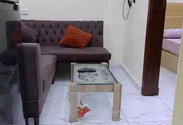 شقق مفروشة للإيجار - 1 غرف - بالدور 4