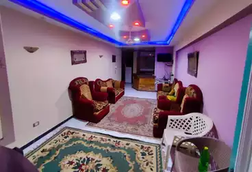عقارات للإيجار - 2 غرف - بالدور 0