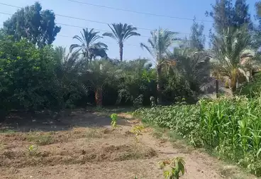 أراضي للبيع