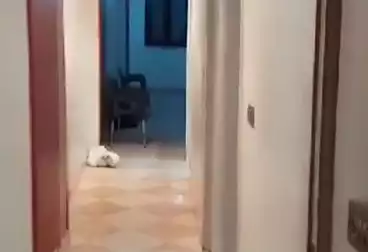 undefined undefined - 3 rooms - floor 2