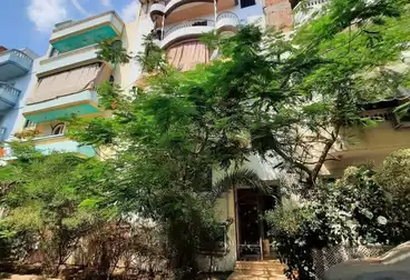 شقق للبيع - 3 غرف - بالدور 2