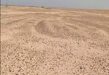Farm For sale