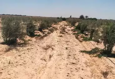 Farm For sale