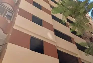 undefined undefined - 3 rooms - floor 1