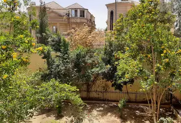 فلل للبيع - 20 غرف