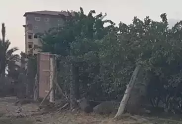 أراضي للبيع