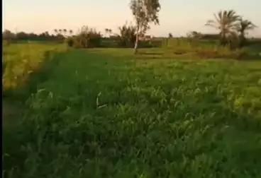 Farm For sale