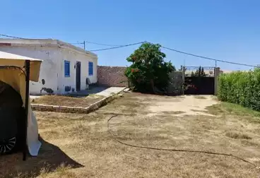 فلل للبيع - 3 غرف