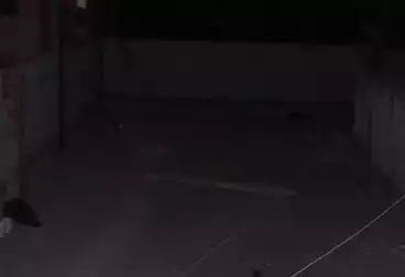 أرض صناعية للبيع