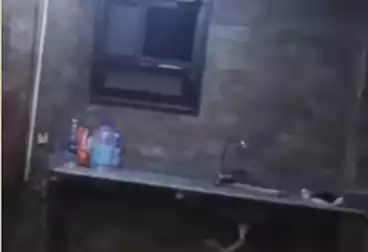 Apartments For rent - 3 rooms - floor 1