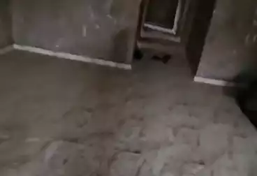 undefined undefined - 3 rooms - floor 9