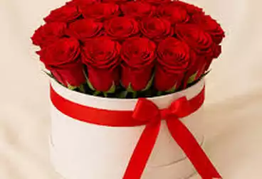 شقق للإيجار