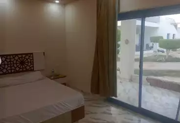 عقارات للإيجار - 2 غرف - بالدور 0