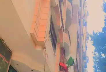 undefined undefined - 3 rooms - floor 1