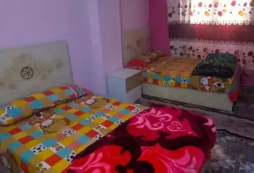 undefined undefined - 2 rooms - floor 11