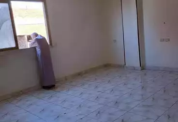 شقق للإيجار - 3 غرف - بالدور 11