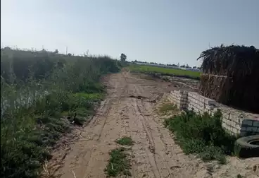 أرض زراعية للبيع