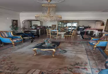 undefined undefined - 3 rooms - floor 3