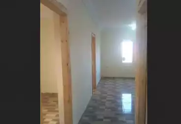 Apartments For rent - 3 rooms - floor 4