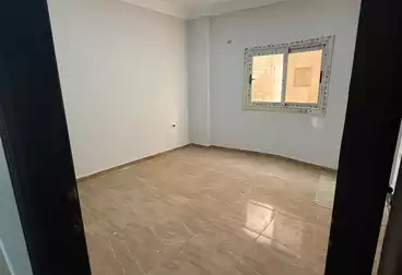 عقارات للإيجار - 3 غرف - بالدور 0