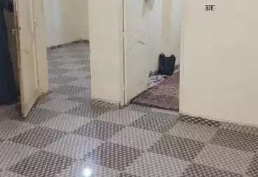 Apartments For rent - 2 rooms - floor 4